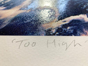 Too High artwork by Joe Webb 