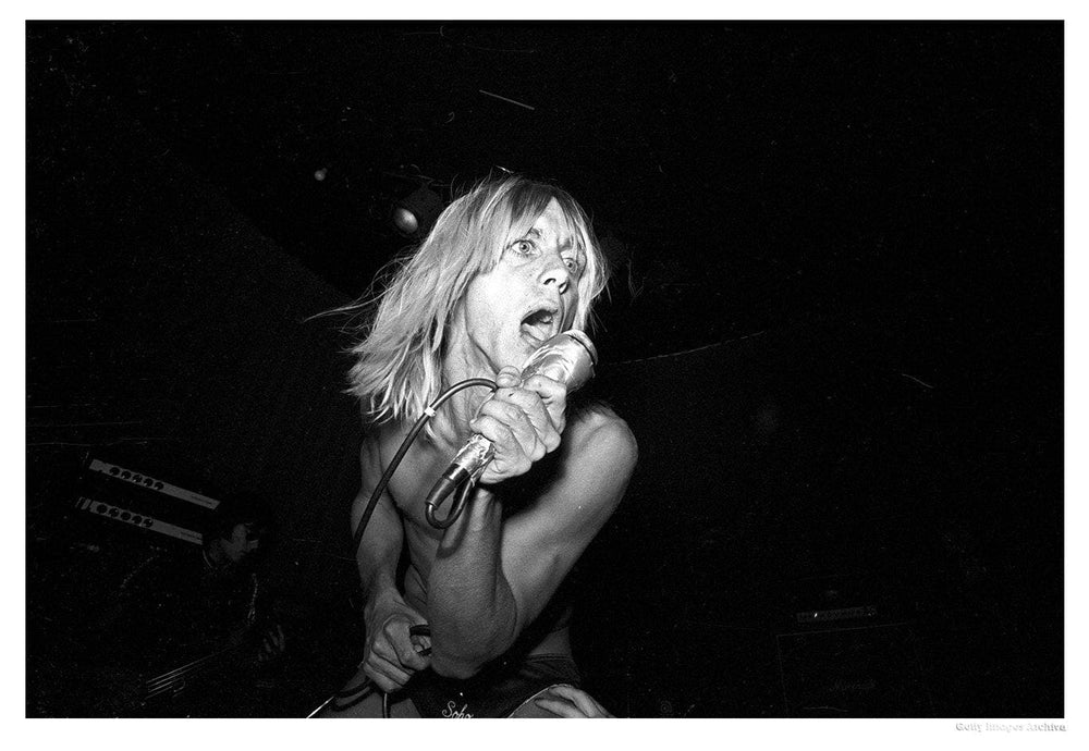 Iggy Pop Performing At The Whisky artwork by Michael Ochs 
