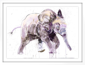 Framed Young Elephant II