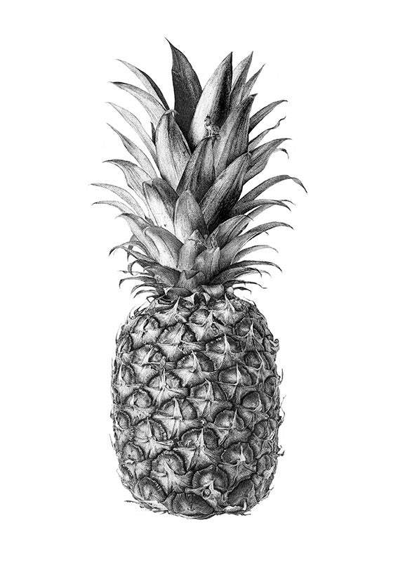 Rainforest Rewild Pineapple art print by CJP | Enter Gallery