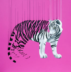 Pink Tiger by Louise McNaught | Enter Gallery