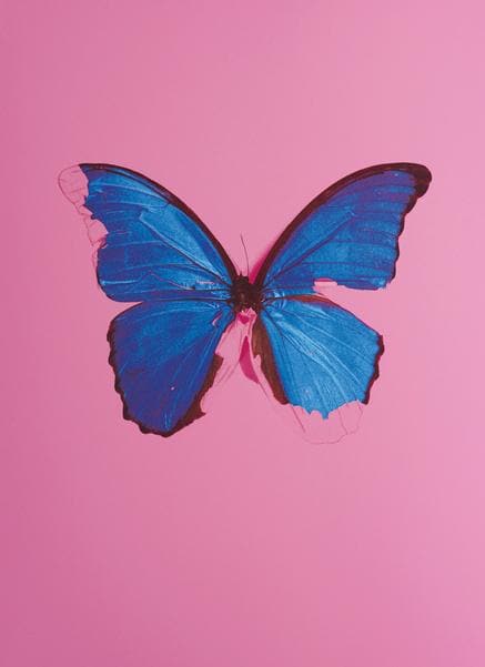 Blue Butterfly from, In The Darkest Hour There May Be Light framed print by Damien Hirst | Enter Gallery