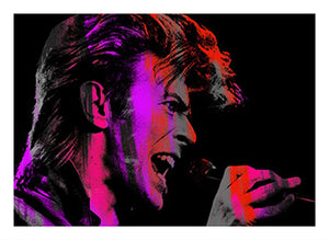 Singing Bowie Pink, Medium by Anthony Freeman | Enter Gallery