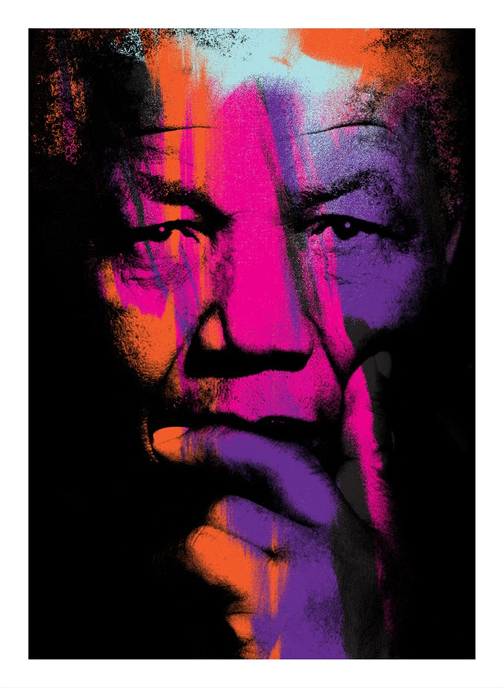 Nelson Mandela Pink, Small by Anthony Freeman | Enter Gallery 