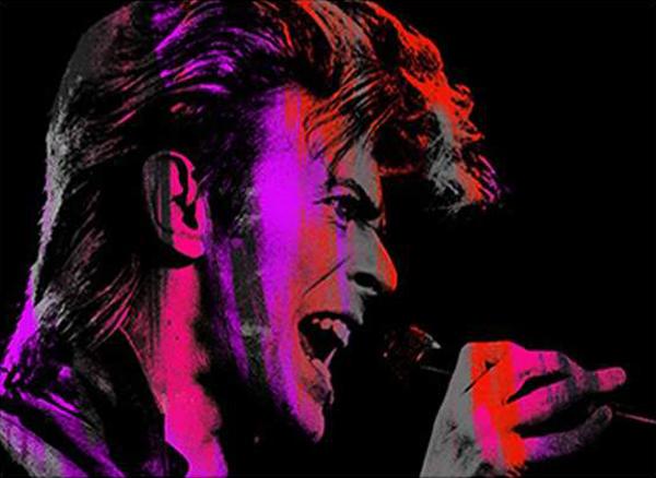 Singing Bowie Pink, Large Canvas by Anthony Freeman | Enter Gallery