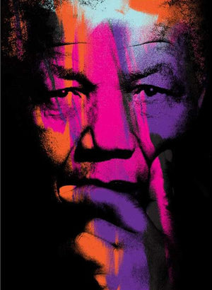 Nelson Mandela Pink, Large Canvas by Anthony Freeman | Enter Gallery
