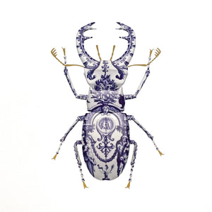 Delft Stag Beetle by Magnus Gjoen | Enter Gallery