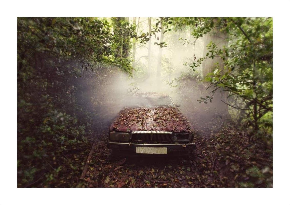 Jaguar by Gina Soden | Enter Gallery