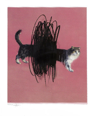 One or Two Cats by Charming Baker | Enter Gallery