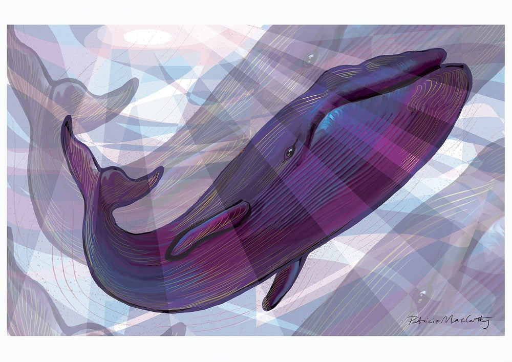 A Feather In The Air, Whale