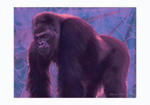 Monster On The Dance Floor, Gorilla