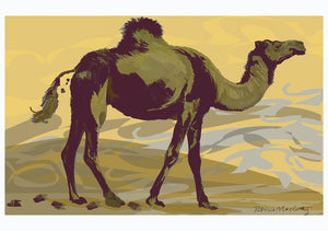 Camel Poop