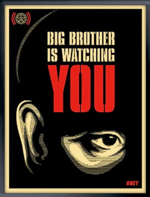 Framed Big Brother Is Watching