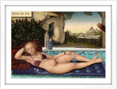 Framed Venus De Lilo