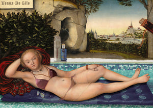 Framed Venus De Lilo