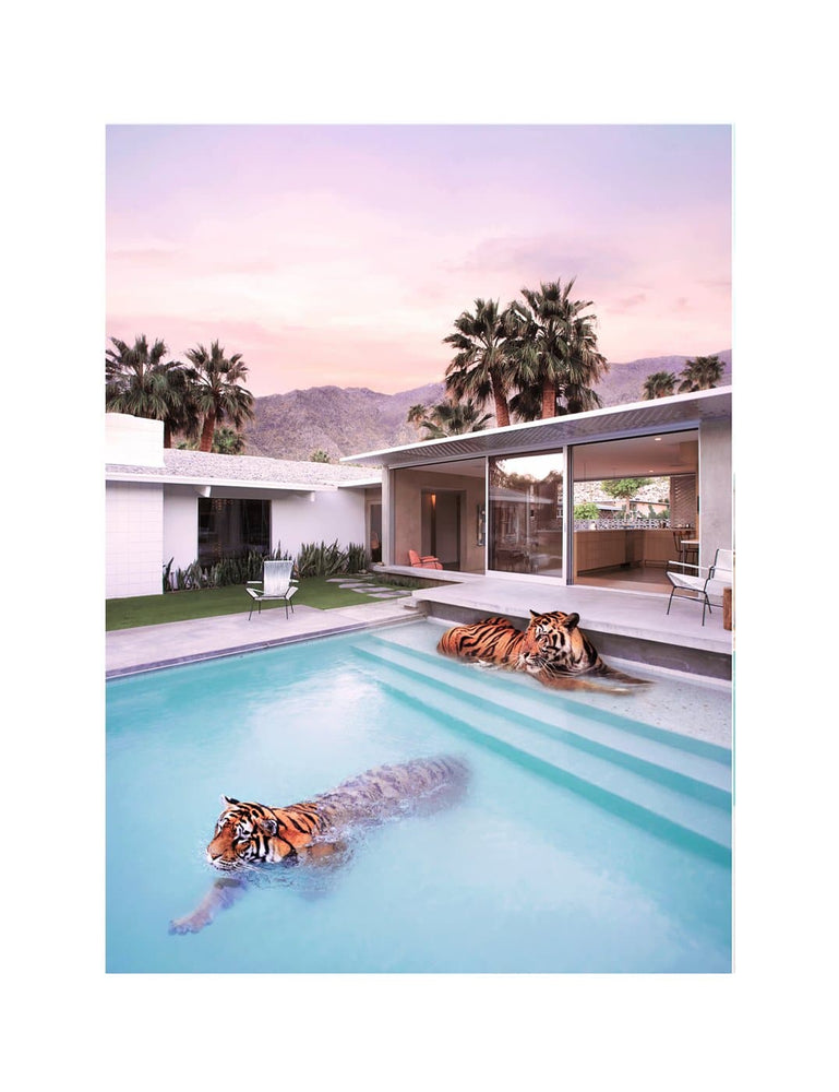 Palm Springs Tigers