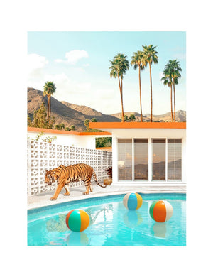 Framed Pool Desert Tiger, Large