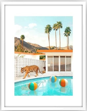 Framed Pool Desert Tiger, Large