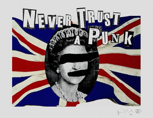 Never Trust A Punk