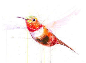 Hummingbird IV, Original