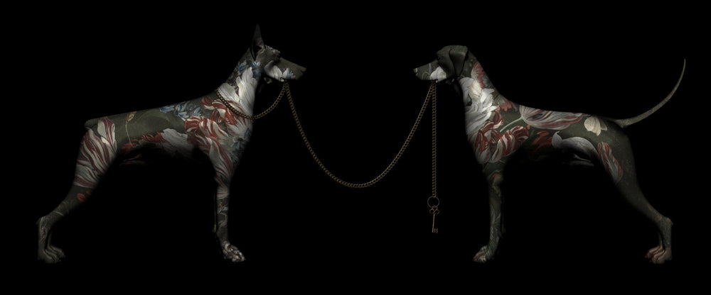 The Afternoon Knows What The Morning Never Expected