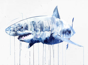 Framed Great White, Double XXL