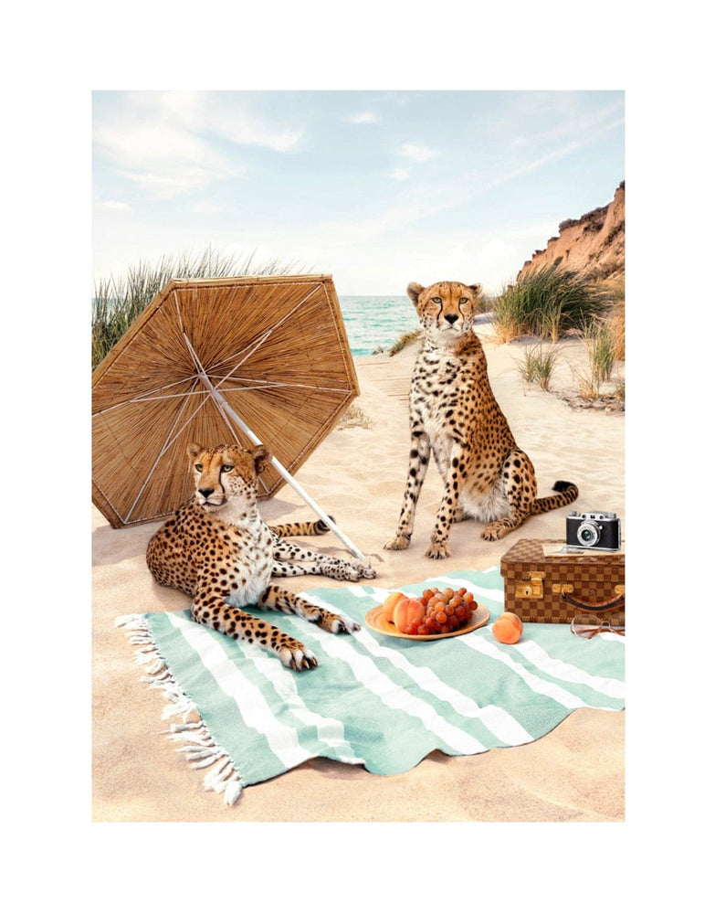 Beach Cheetahs