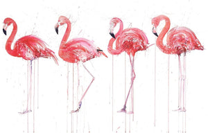 Flamingo Movement