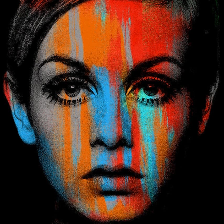 Large Twiggy, Anthony | Gallery Enter Canvas by Freeman