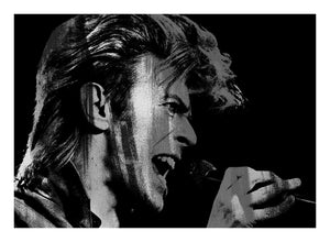 Singing Bowie, Medium