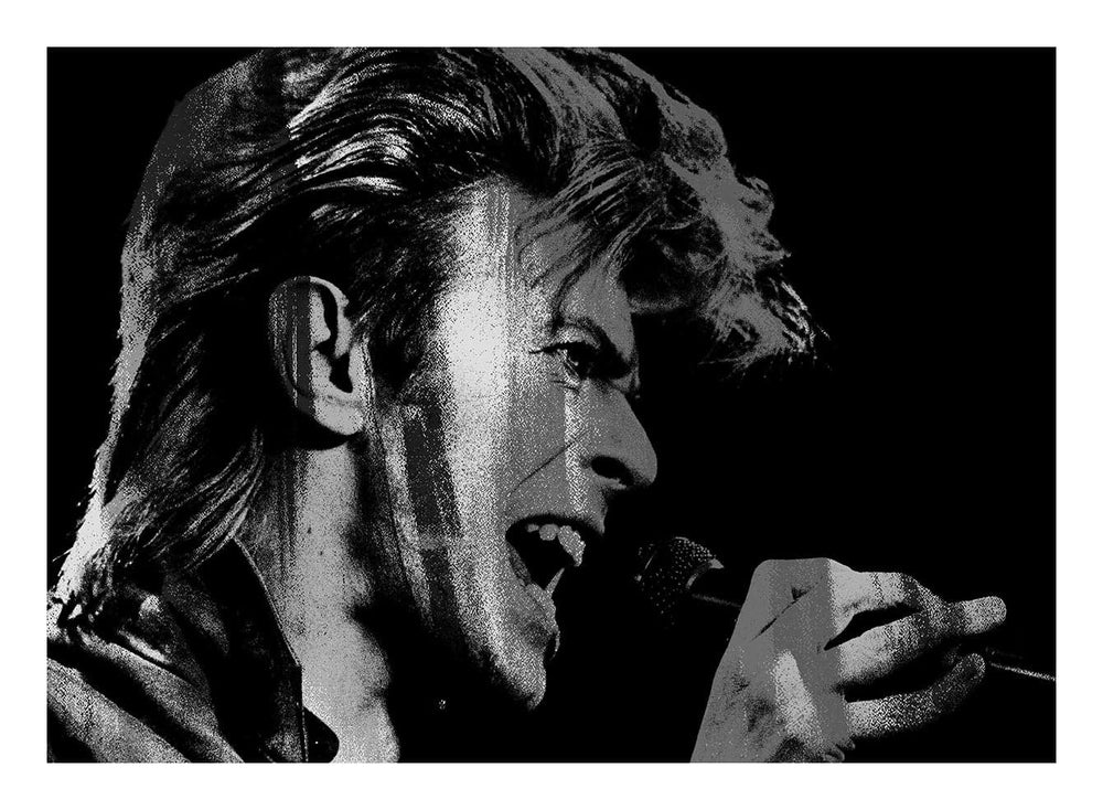 Singing Bowie, Small