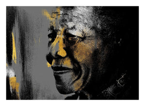 Nelson Mandela, Small