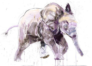 Young Elephant II artwork by Dave White 