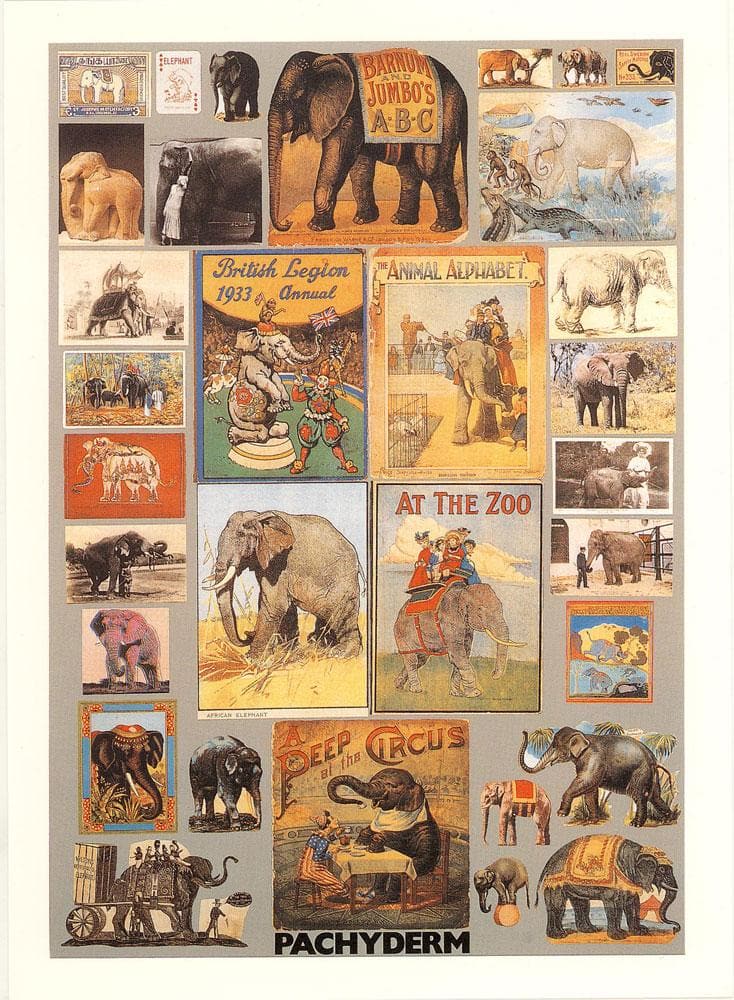 P is for Pachyderm artwork by Peter Blake 