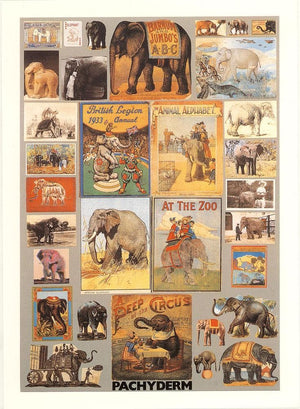 P is for Pachyderm artwork by Peter Blake 