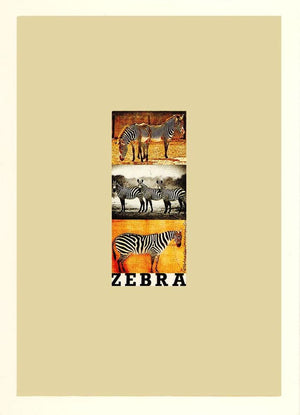 Z is for Zebra artwork by Peter Blake 