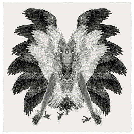 FRAMED Colibri artwork by Dan Hillier 