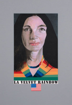 LA Velvet Rainbow artwork by Peter Blake 