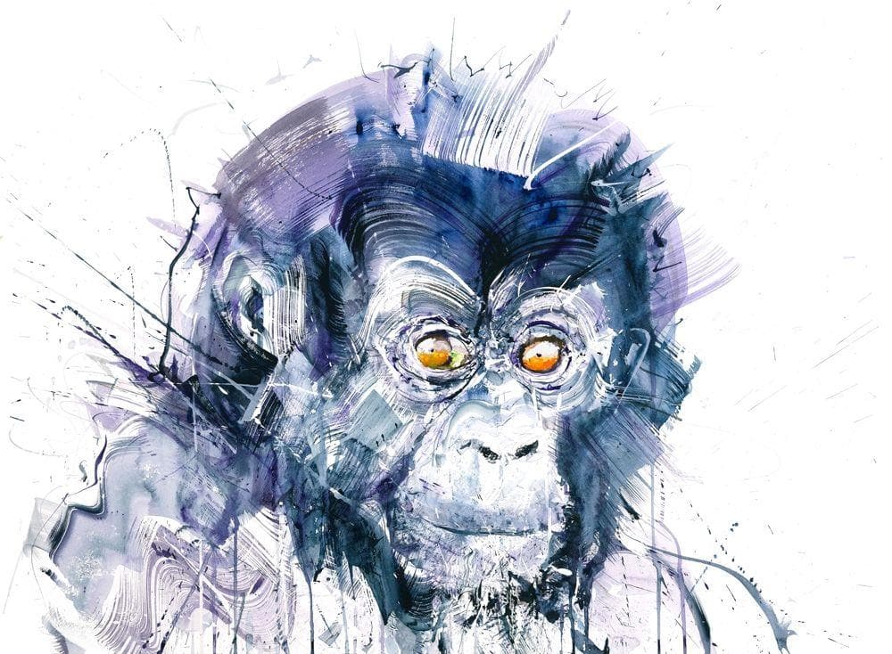 Baby Gorilla artwork by Dave White 