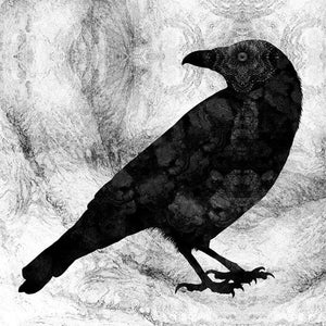 Raven artwork by Dan Hillier 