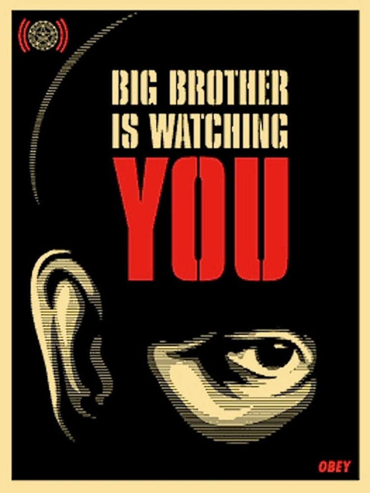 Framed Big Brother Is Watching